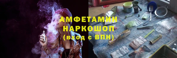 хмурый Арсеньев