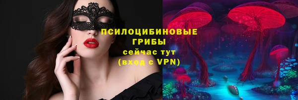 не бодяженный Аркадак