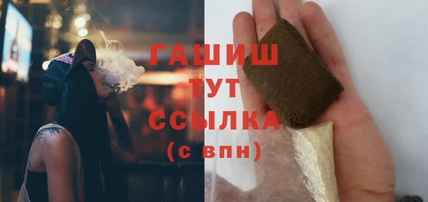 хмурый Арсеньев
