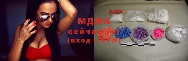 хмурый Арсеньев