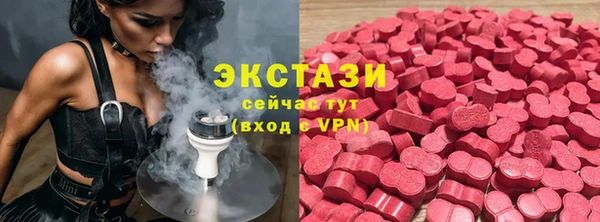 хмурый Арсеньев