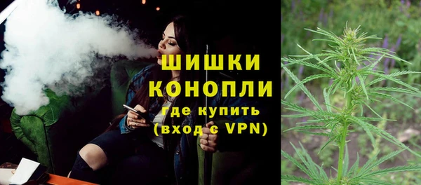 хмурый Арсеньев