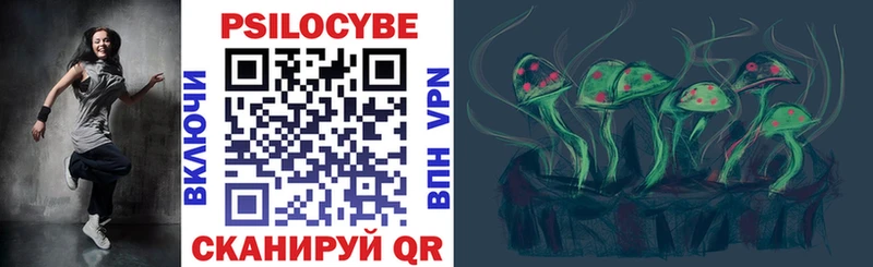 Галлюциногенные грибы Psilocybe  Севск 